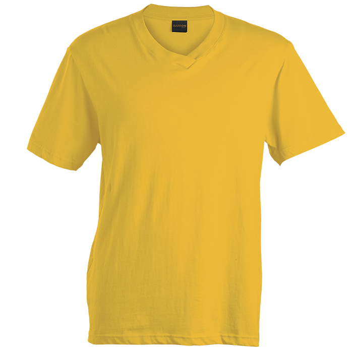 180g Barron V-Neck T-Shirt (TSV180B)