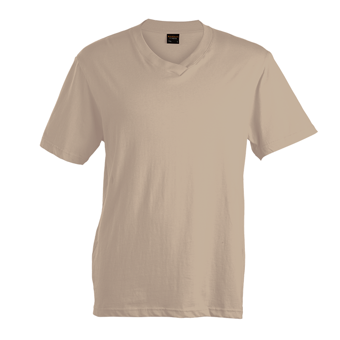 180g Barron V-Neck T-Shirt (TSV180B)