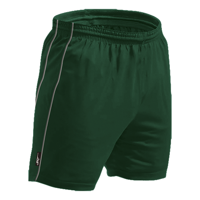 BRT Reflect Shorts