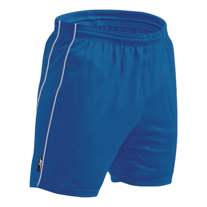 BRT Reflect Shorts