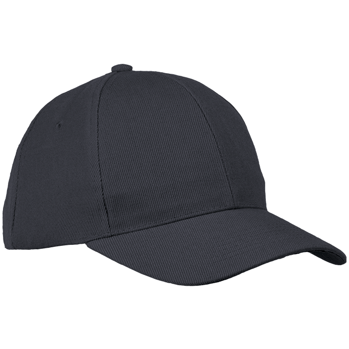 6 Panel Raven Cap