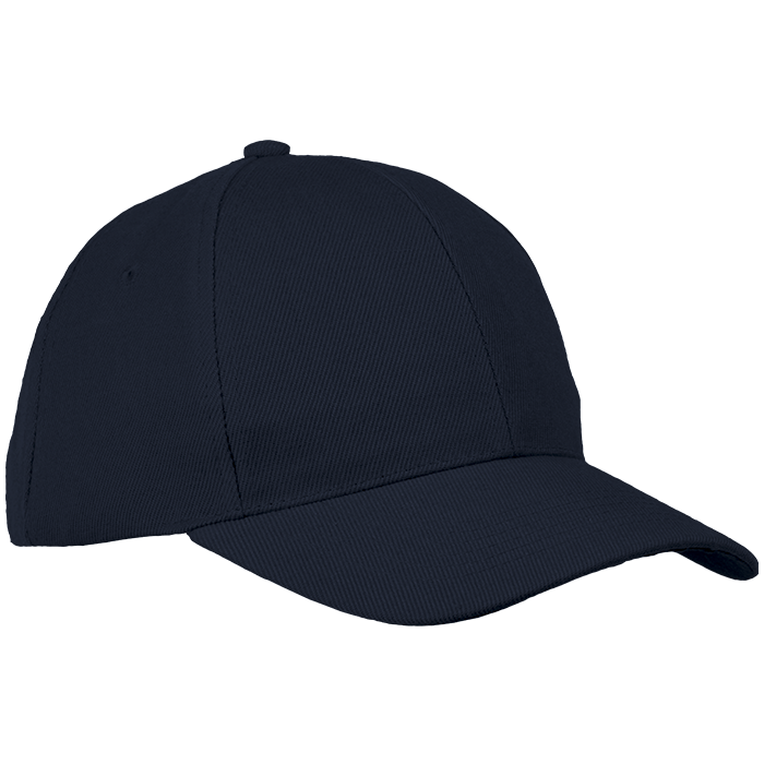 6 Panel Raven Cap