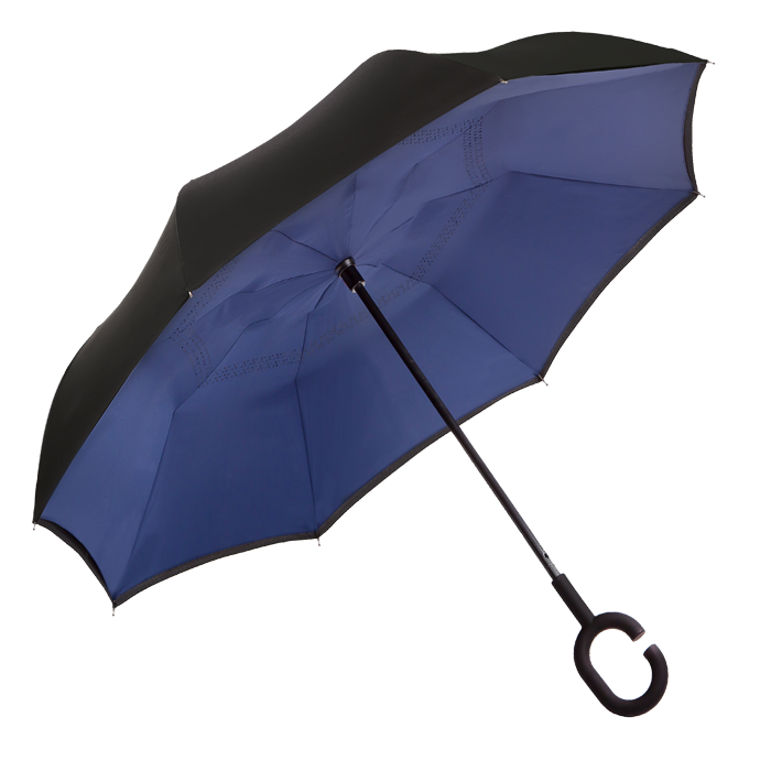 Reversible Umbrella