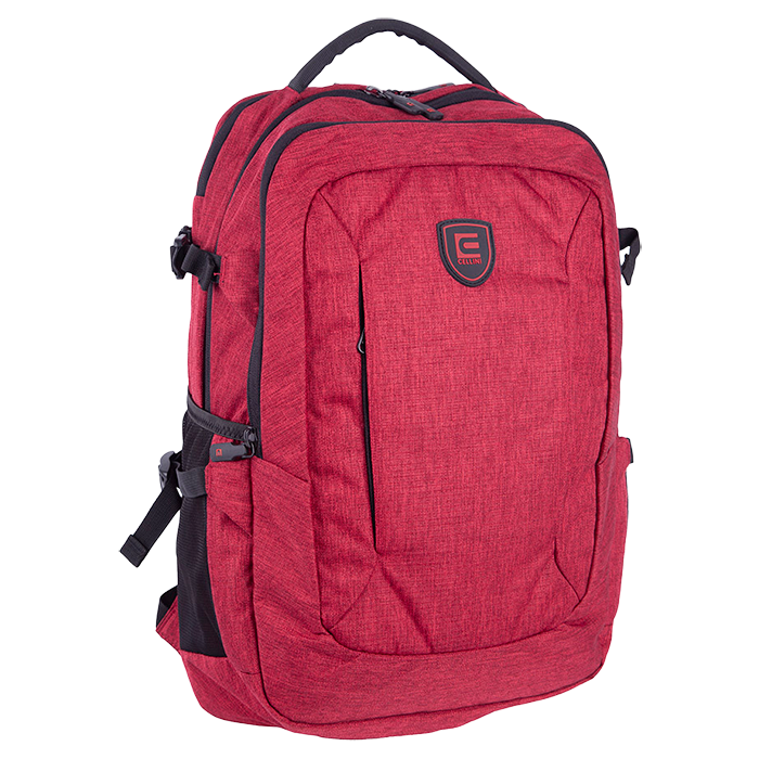 Cellini Ace Multi-Pocket College Backpack